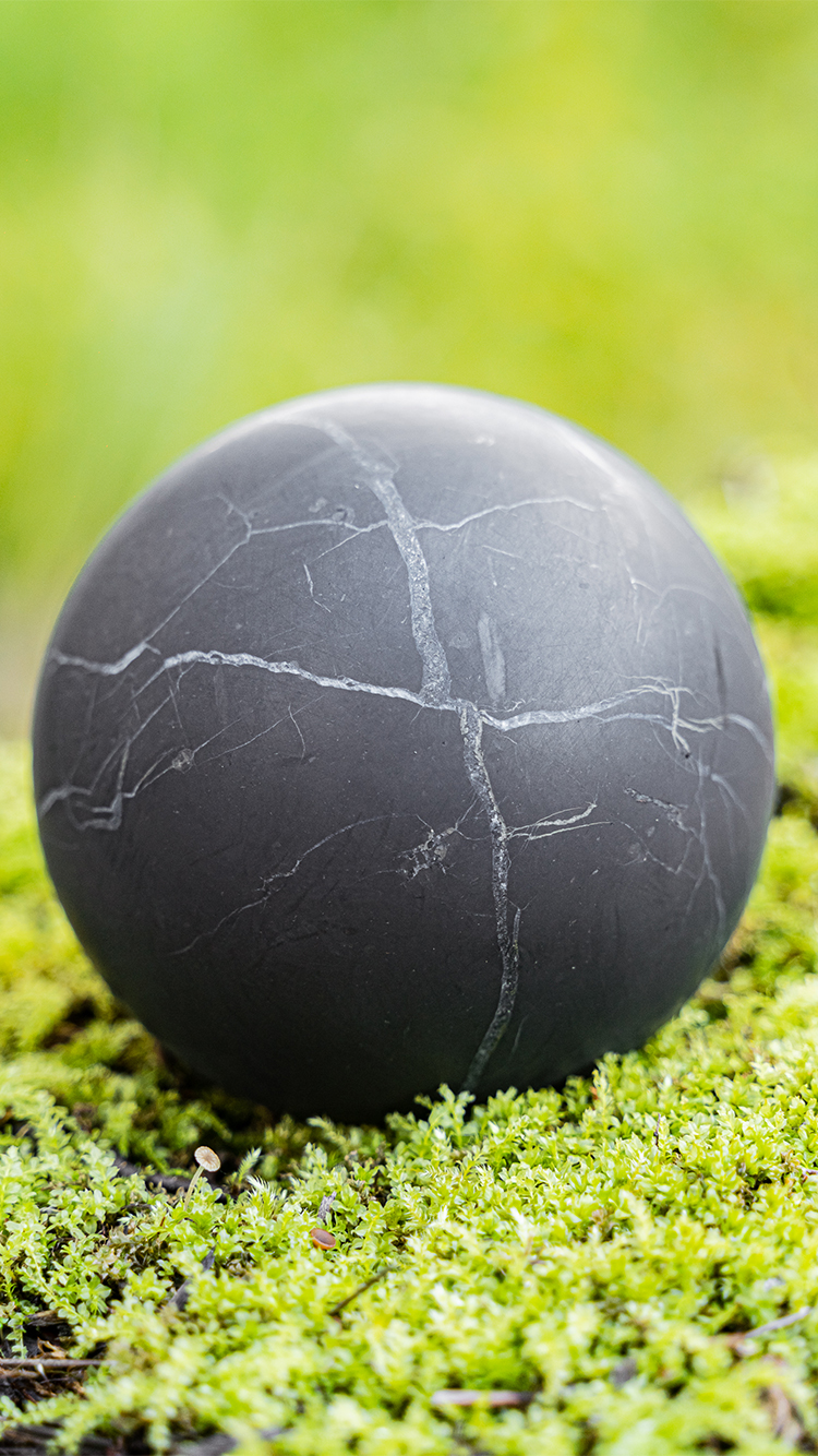 Single polished shungite sphere with natural cracks on mossy surface
