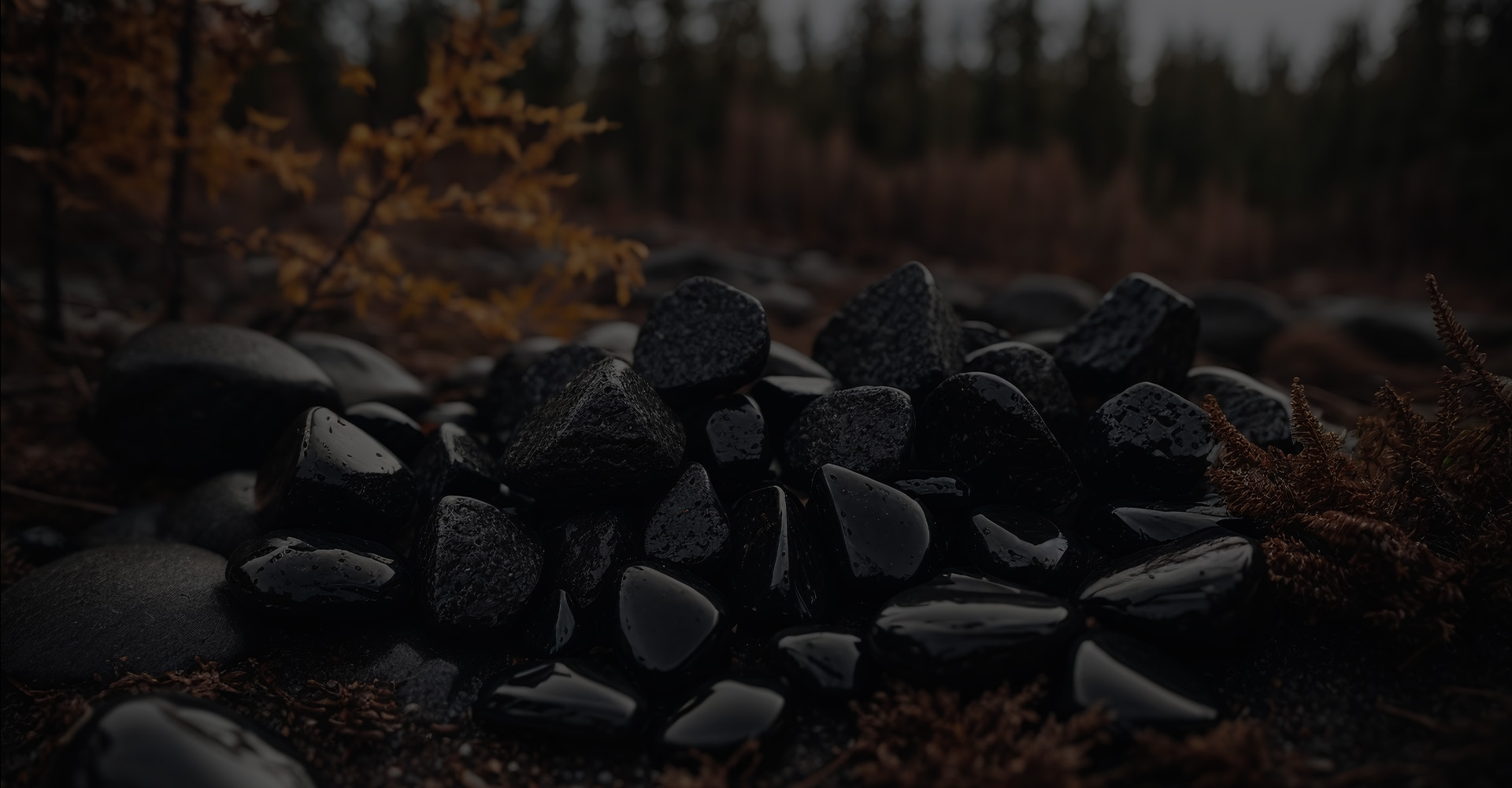 Polished shungite stones for sale on a natural background