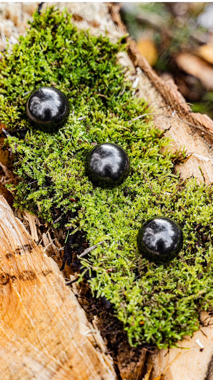 Polished shungite spheres placed on green moss with natural woodland background