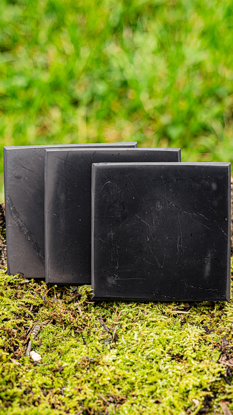 Shungite tiles for EMF protection displayed on lush moss